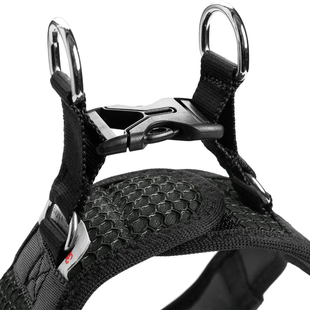 Durable dog harness with adjustable straps and metal D-rings for secure leash attachment.