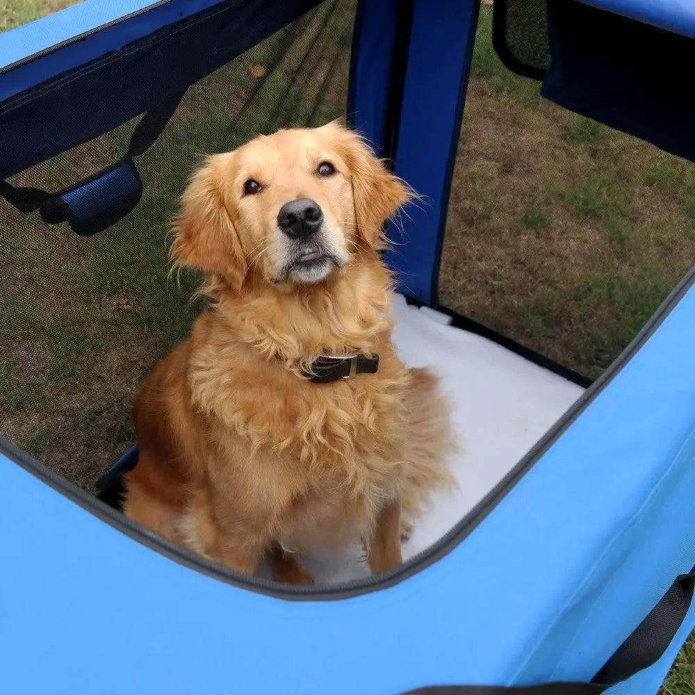 Golden retriever sitting in a blue pet playpen, enjoying a safe and comfortable space outdoors.