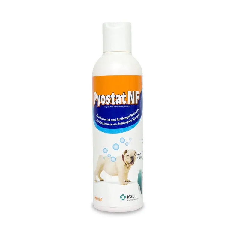 MSD Pyostat Medicated Dog Shampoo 200ml Buy Pet Medication Online