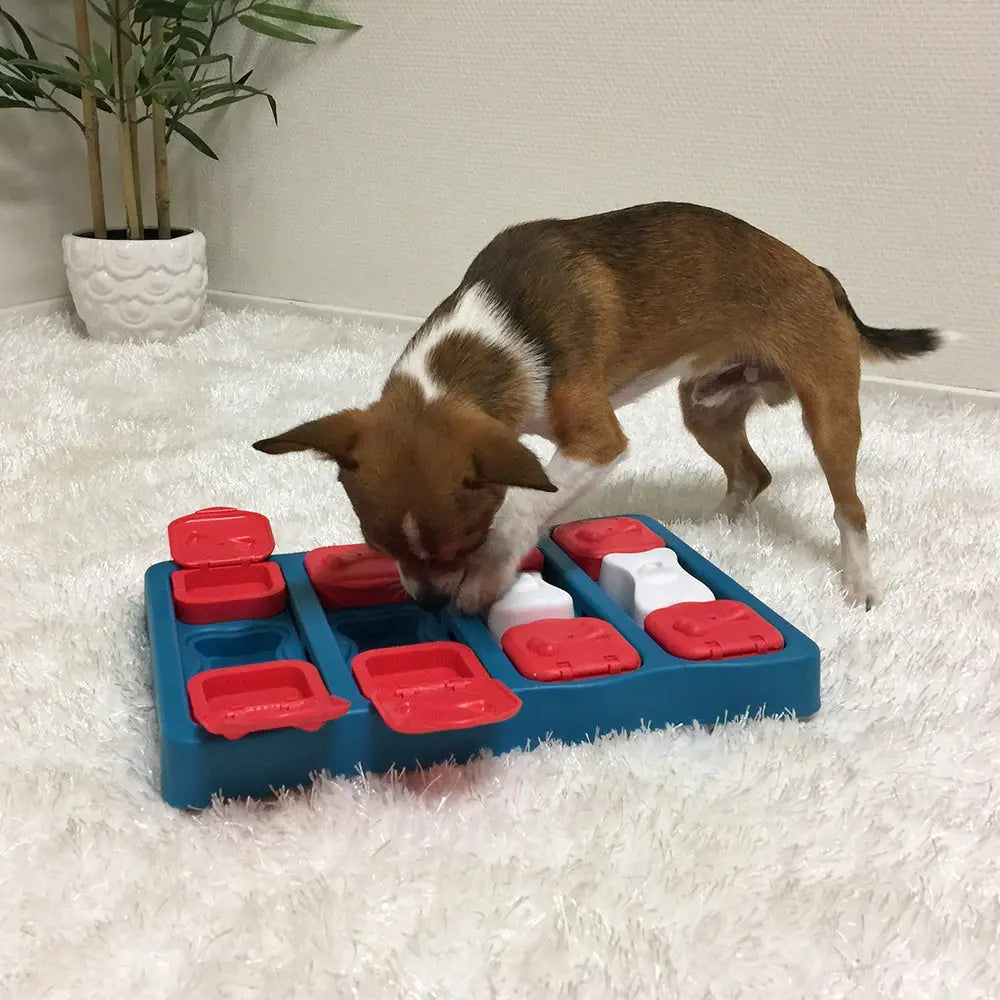 Nina Ottosson dog brick puzzle toy for dogs