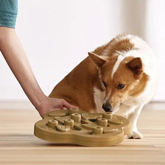 Nina Ottosson Dog Hide N Slide Brown puzzle toy for dogs
