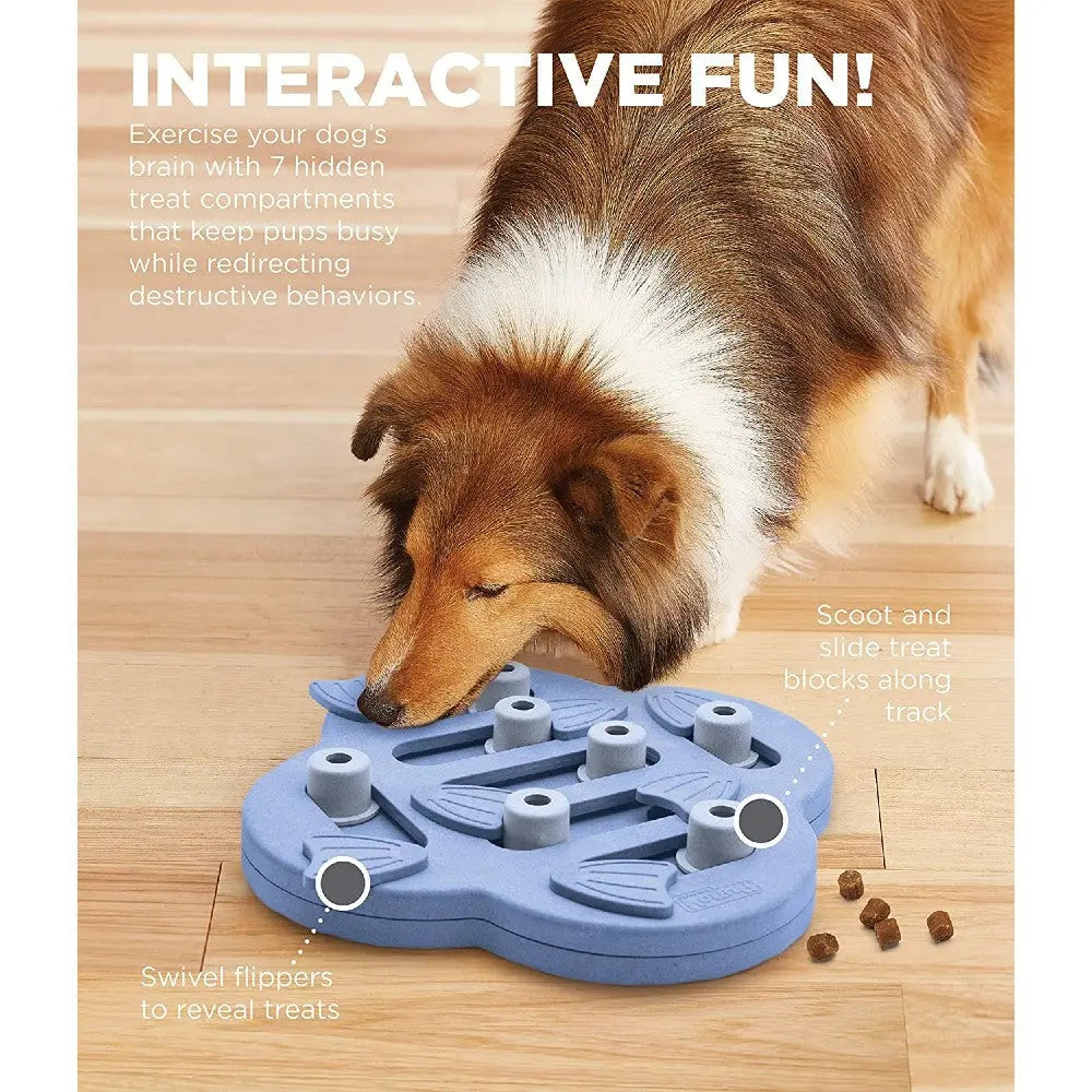 Nina Ottosson dog purple Hide N Slide interactive puzzle toy.