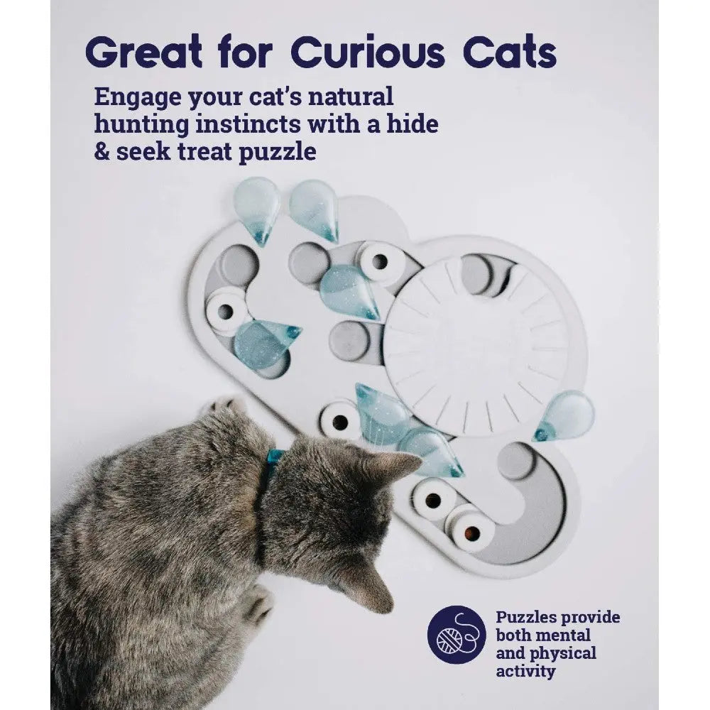 Cat puzzle toy designed to stimulate hunting instincts and provide mental engagement.