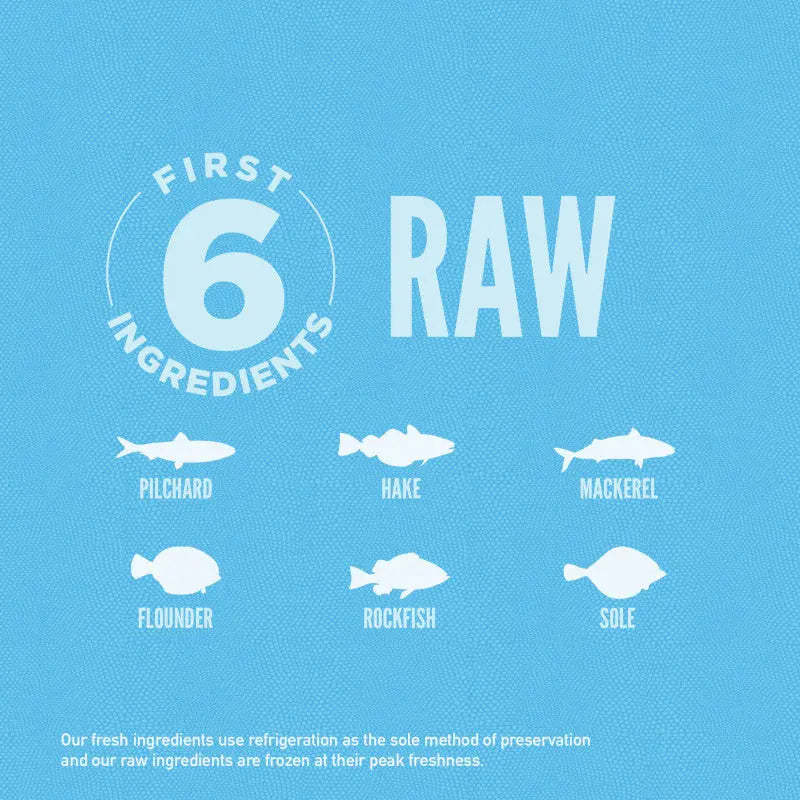 Infographic showcasing six raw fish ingredients: pilchard, hake, mackerel, flounder, rockfish, and sole.