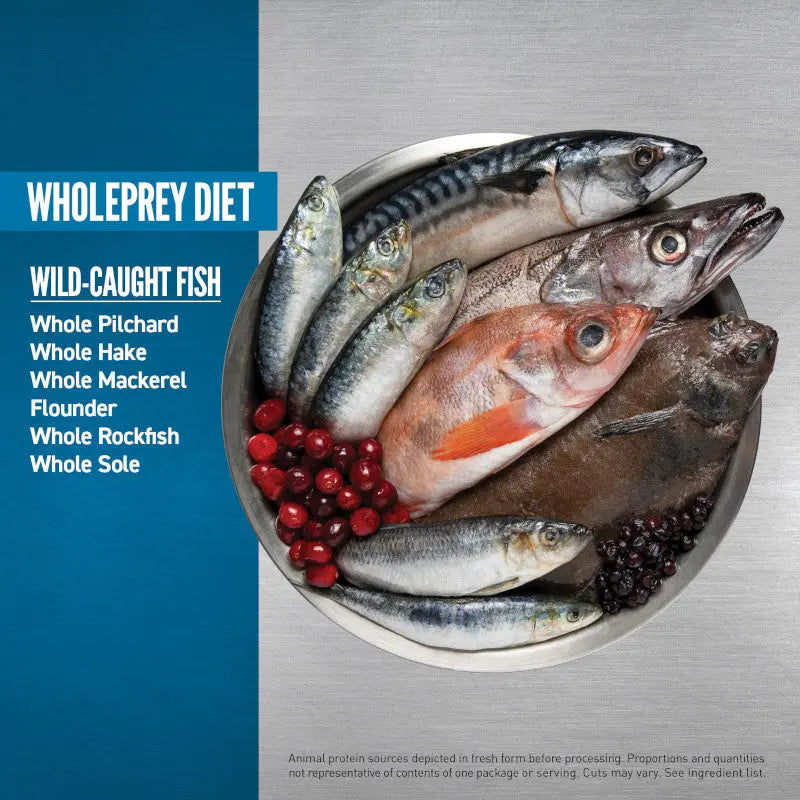 Whole prey diet featuring wild-caught fish including pilchard, hake, mackerel, flounder, rockfish, and sole.