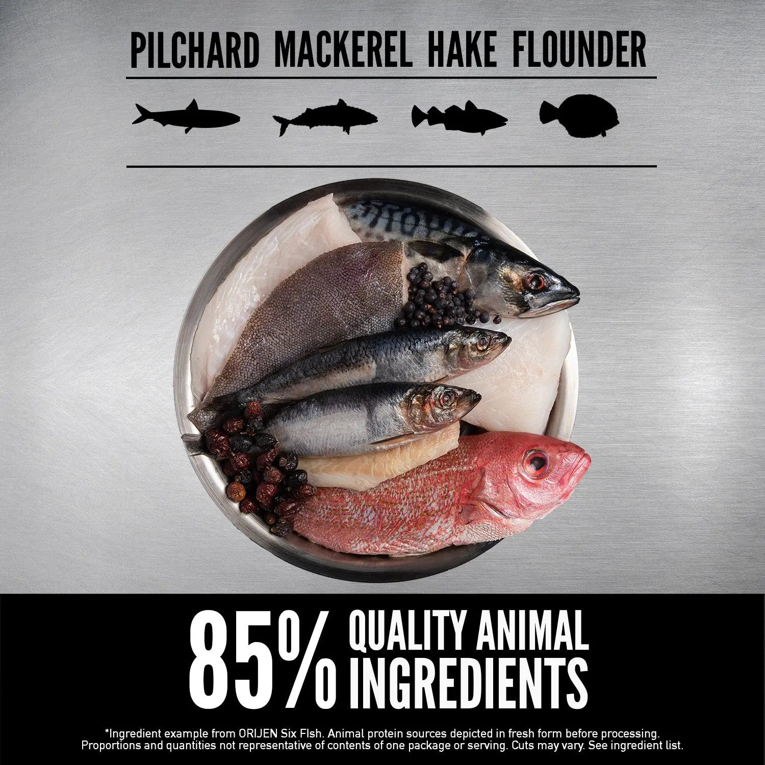 Fresh fish selection including pilchard, mackerel, hake, and flounder in a bowl, highlighting 85% quality animal ingredients.