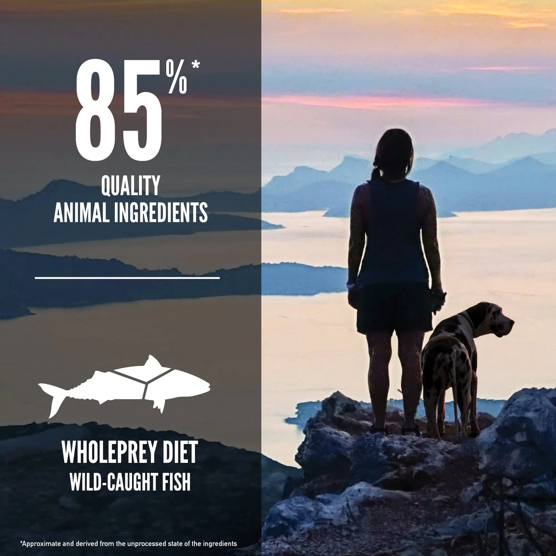 Orijen Six Fish Dry Dog Food   | Low Prices | Canine & Co