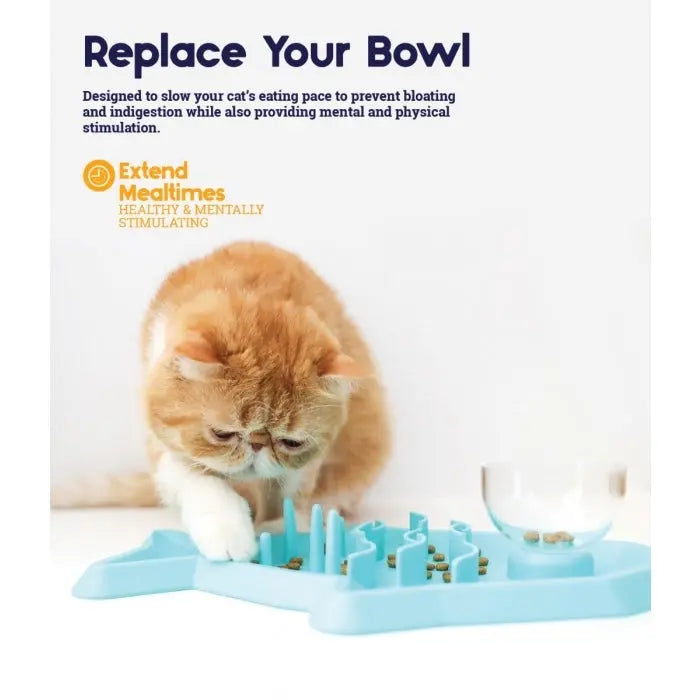 Cat using a slow feeder bowl to promote healthy eating habits and mental stimulation.