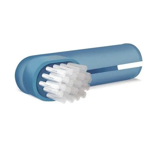 Pet Dent Finger Brush  Blue | Low Prices | Canine & Co