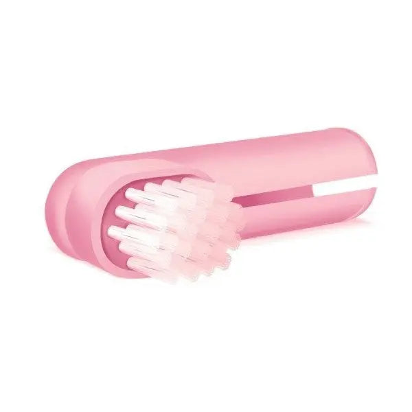 Pet Dent Finger Brush  Pink | Low Prices | Canine & Co