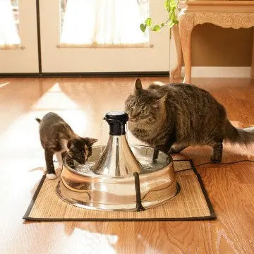 Cat and kitten drinking from a stylish stainless steel water fountain in a cozy home setting.