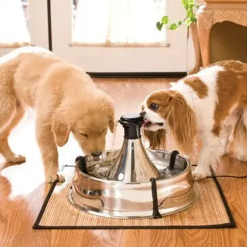 Two dogs drinking from a stylish pet water fountain on a wooden floor.