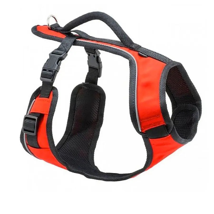 PetSafe EasySport Harness - product detail image South Africa retail