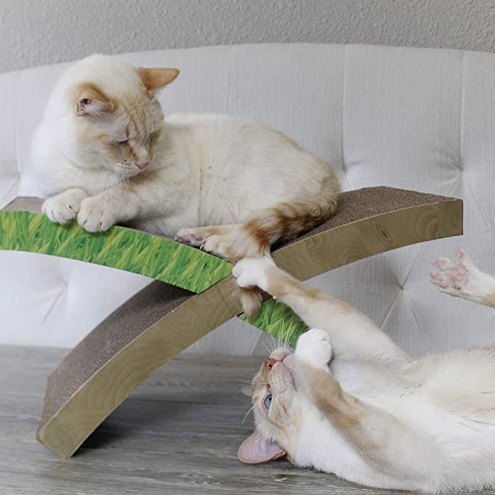 Hammock deals cat scratcher