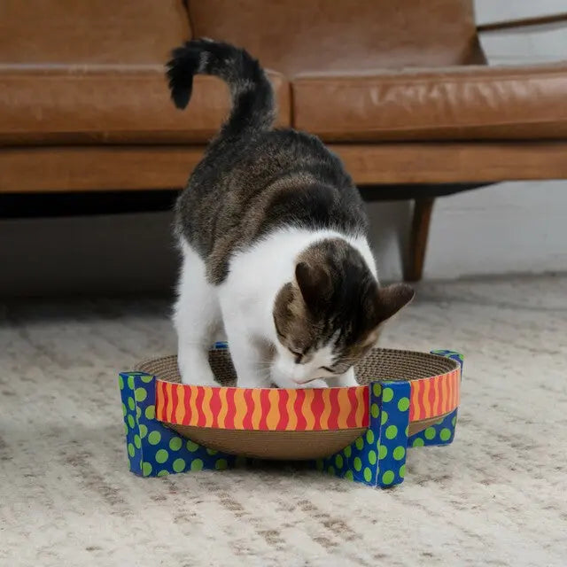 Cat playing with a colorful scratching post designed for interactive fun and engagement.