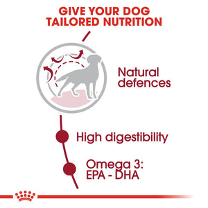 Royal Canin Medium Adult Dog Infographic 2
