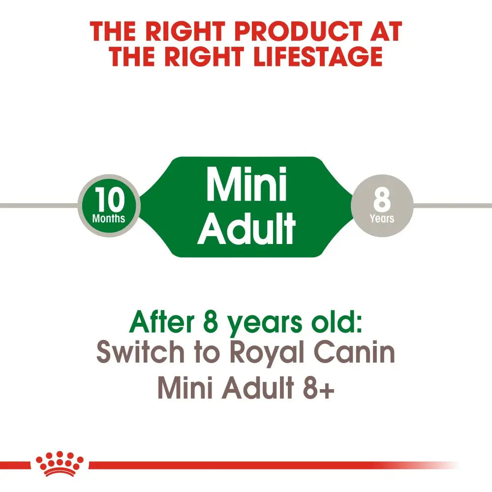 Royal Canin Mini Adult Dry Dog Food   | Low Prices | Canine & Co