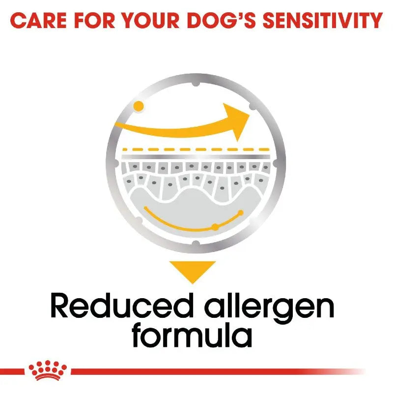 Royal Canin Dermacomfort Dog Loaf Infographic 4