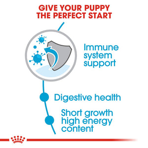 Royal Canin Medium Puppy Infographic 2