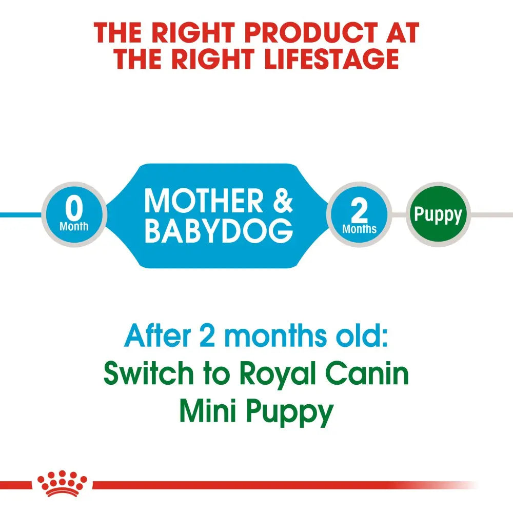 Infographic on transitioning to Royal Canin Mini Puppy food after 2 months for optimal growth.