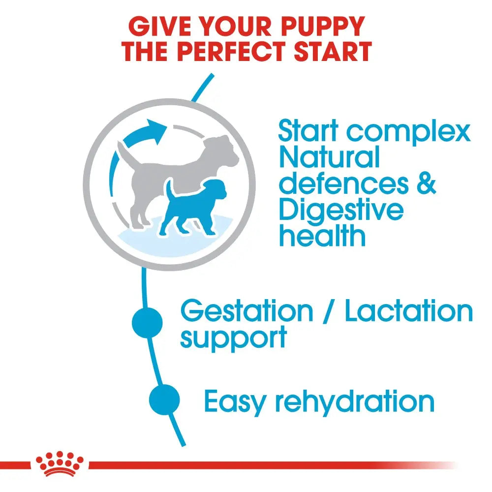 Infographic highlighting puppy nutrition benefits, including digestive health and hydration support.