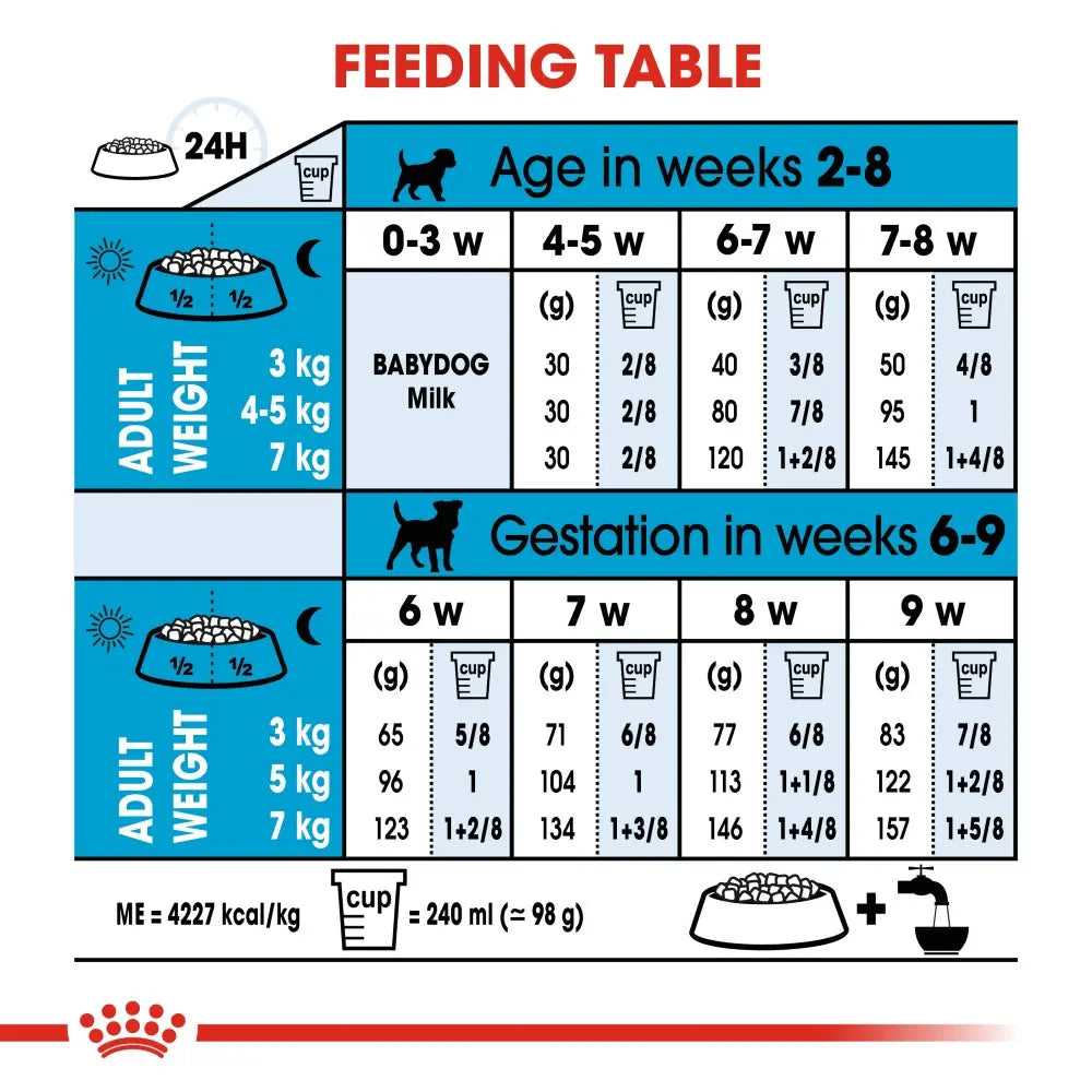 Feeding table infographic for puppies and pregnant dogs, detailing age and weight guidelines.