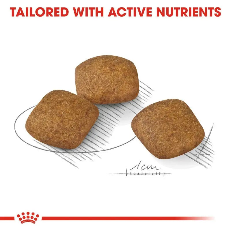 Nutritious pet food kibble designed with active ingredients for optimal health.