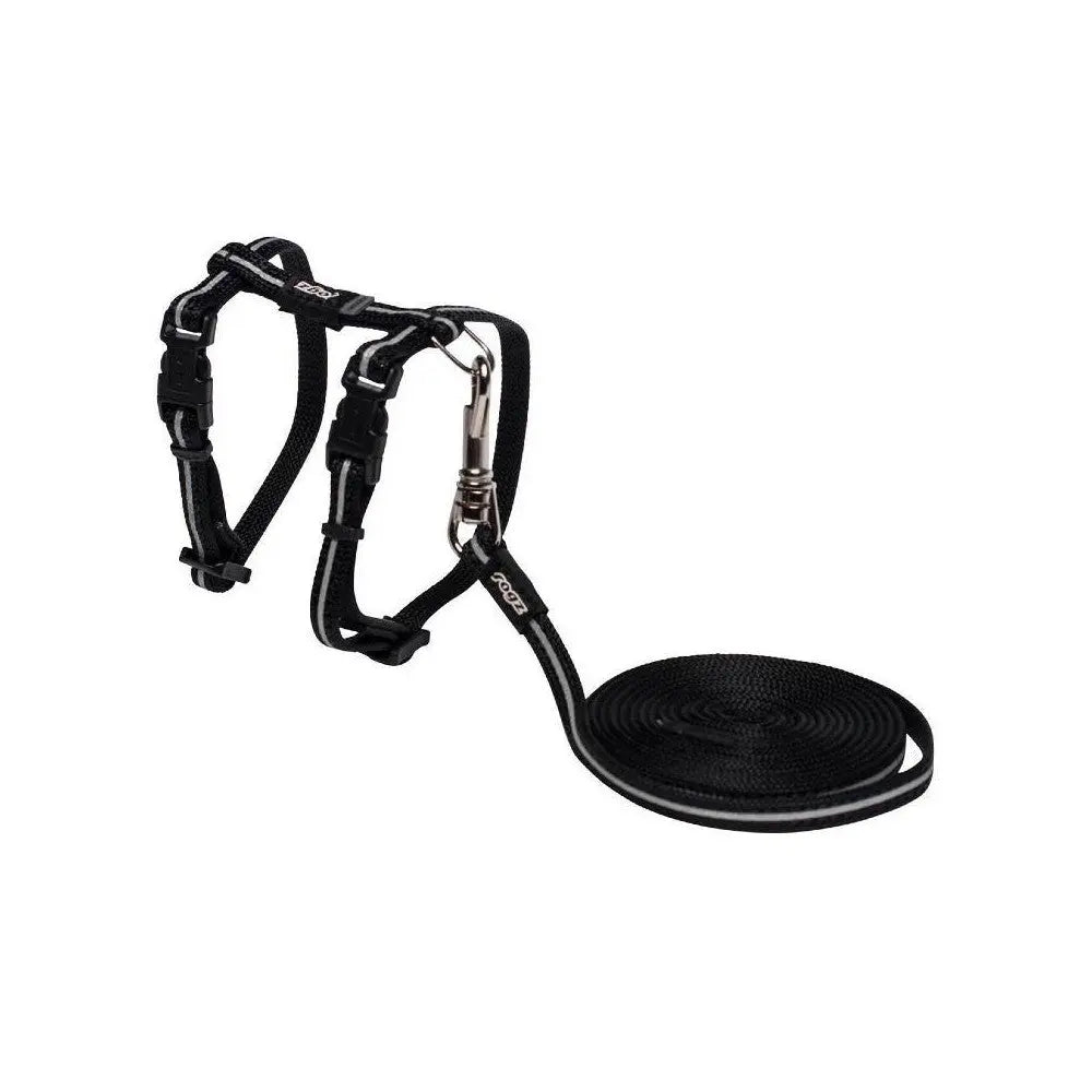 Black dog harness and leash set for comfortable and secure pet walks.