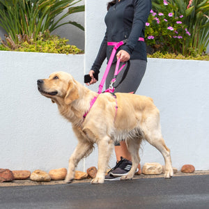 Rogz Hands-free Utility Dog Lead Pink Close Control