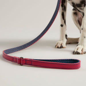 Rosewood and Joules Pink Leather Lead