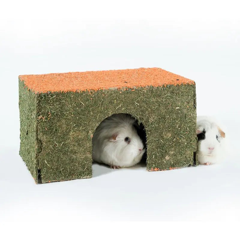 Guinea pigs exploring a natural grass hideout for comfort and play.