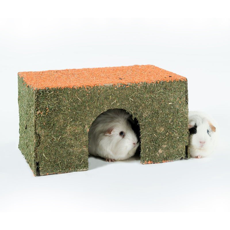 Edible guinea sales pig house