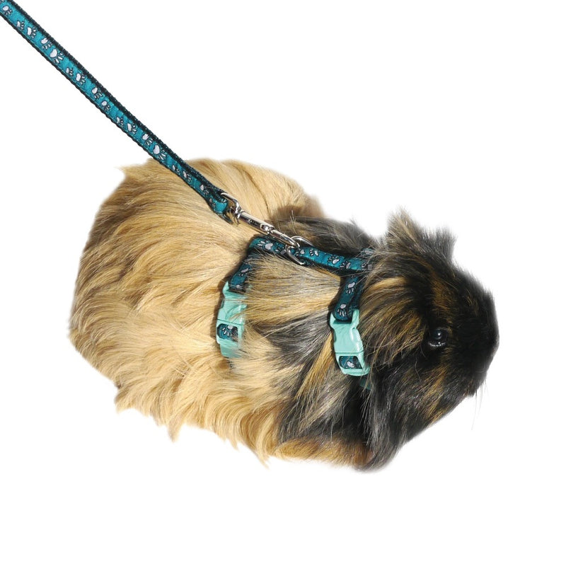 Rosewood Paw Print Harness Buy Small Pet Harnesses Online Canine & Co