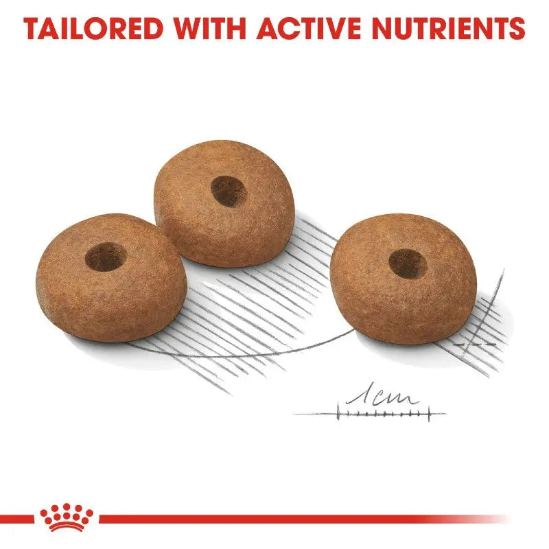 Active nutrient-rich pet food kibbles designed for optimal health and nutrition.