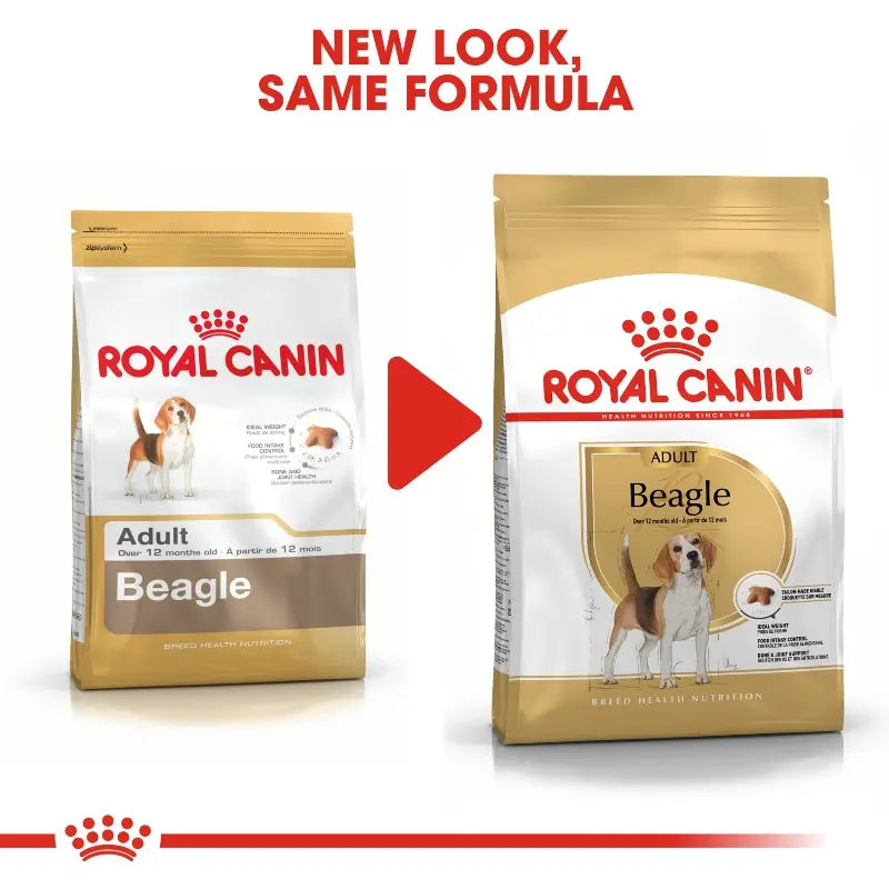 Royal Canin Beagle Adult Dry Dog Food   | Low Prices | Canine & Co