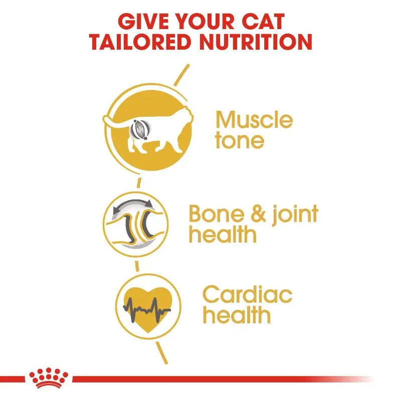 Infographic highlighting tailored nutrition benefits for cats: muscle tone, bone health, and cardiac health.
