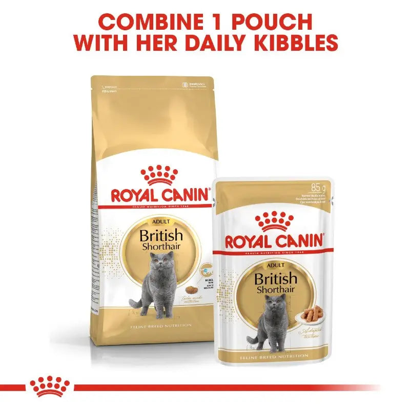 Royal Canin British Shorthair cat food pouch and kibble packaging for balanced nutrition.