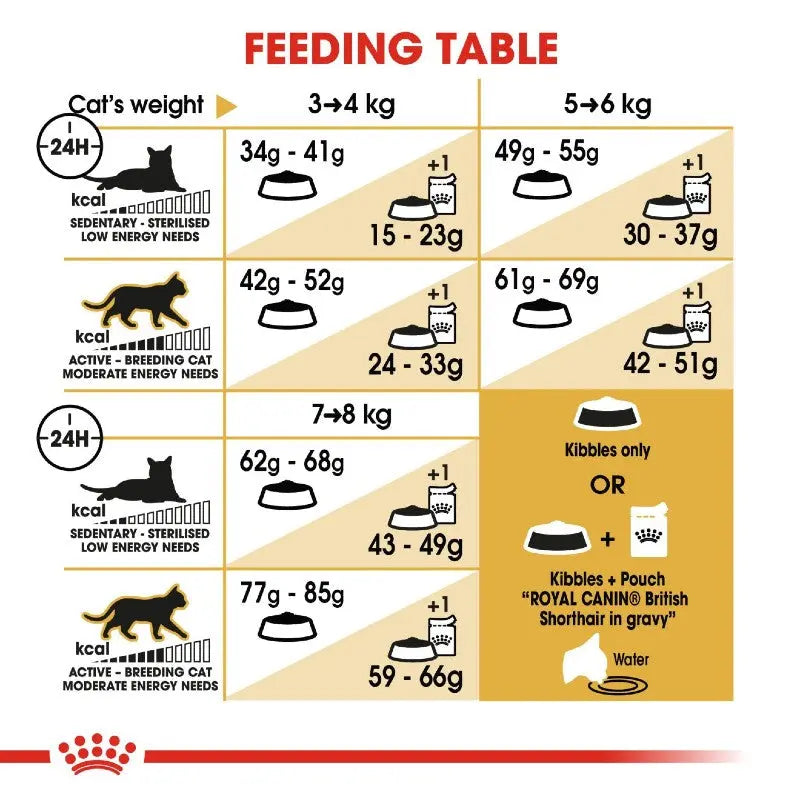 Feeding table infographic for Royal Canin cat food based on weight and activity level.