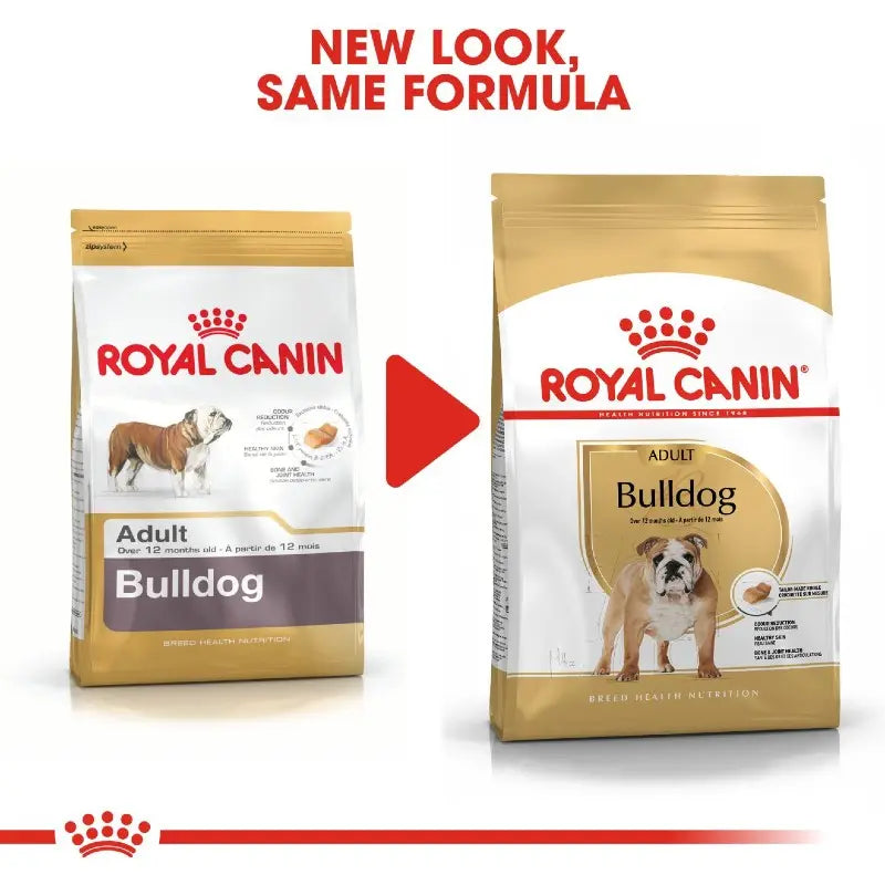 Royal Canin English Bulldog Adult Dry Dog Food   | Low Prices | Canine & Co