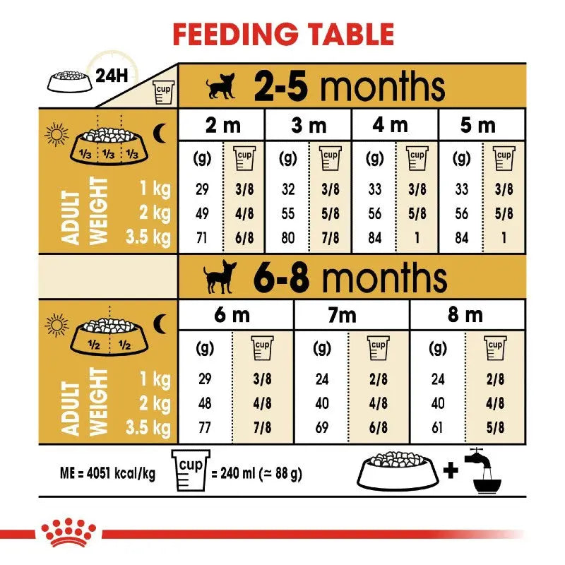 Feeding table infographic for kittens aged 2-8 months, detailing portion sizes by weight.