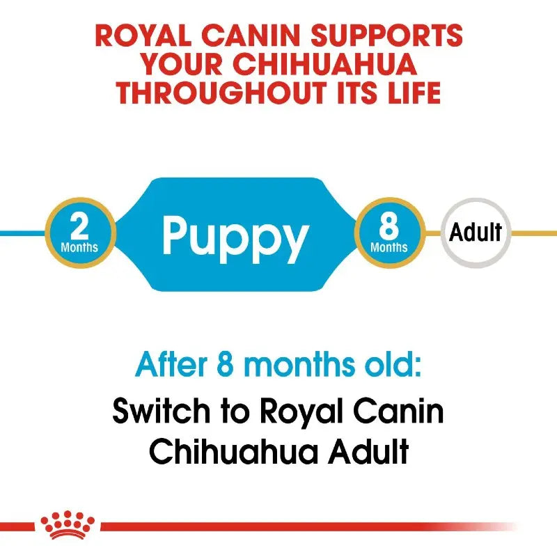 Royal Canin Chihuahua feeding guide for puppies and adults, highlighting age-specific nutrition.