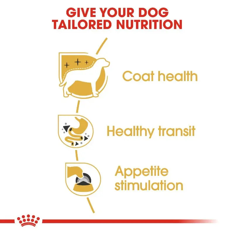 Infographic highlighting tailored nutrition benefits for dogs: coat health, healthy transit, and appetite stimulation.