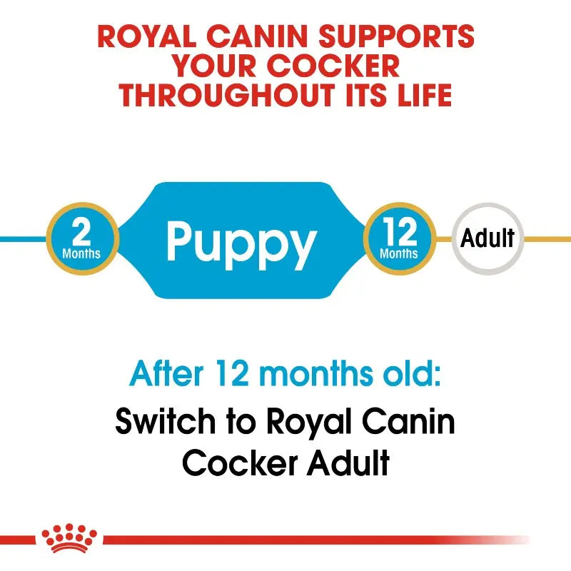 Royal Canin guide for transitioning Cocker Spaniel from puppy to adult food.