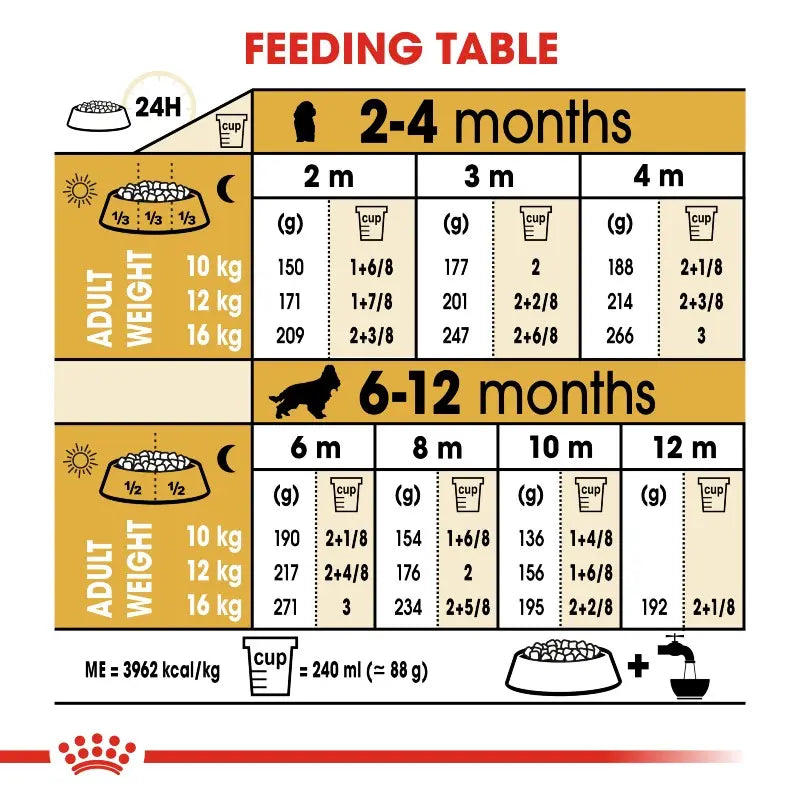Feeding table infographic for pet nutrition, detailing portions by age and weight.