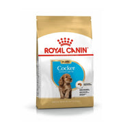 Royal Canin Cocker Puppy food bag, designed for healthy growth and nutrition in young cocker spaniels.