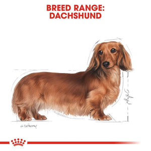 Royal Canin Dachshund Adult Wet Food Pouch Infographic 1