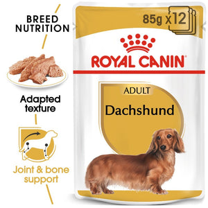 Royal Canin Dachshund Adult Wet Food Pouch Infographic 7