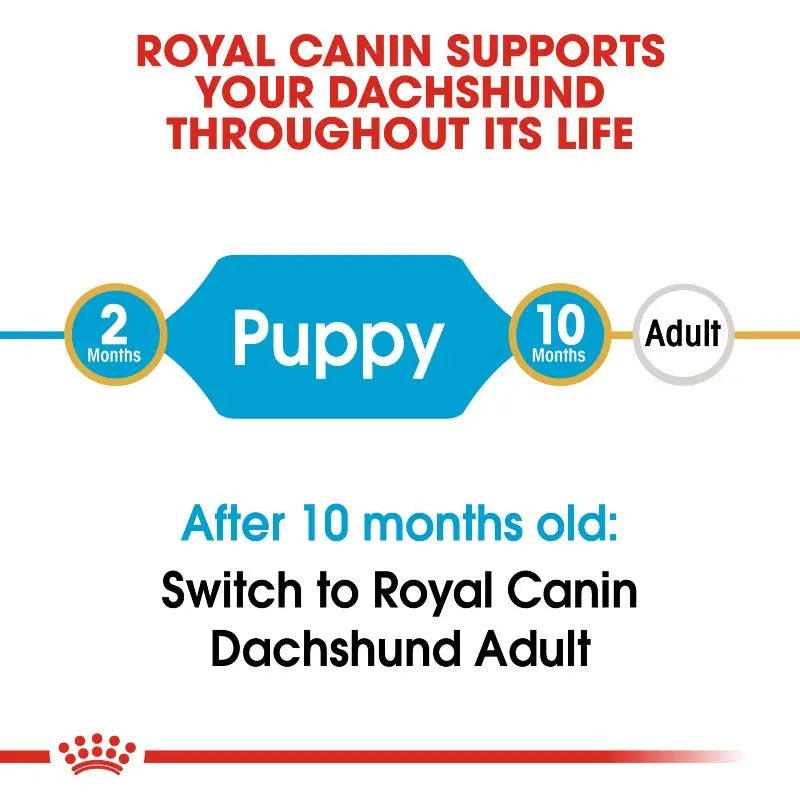 Royal Canin Dachshund Puppy Dry Dog Food   | Low Prices | Canine & Co