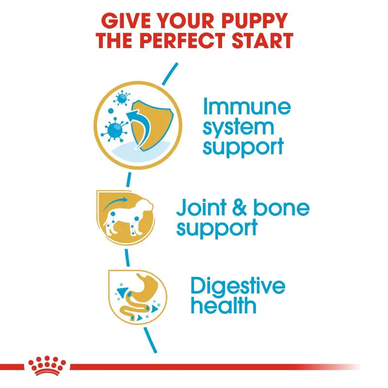 Royal Canin Dachshund Puppy Dry Dog Food   | Low Prices | Canine & Co