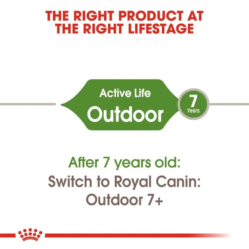 Royal Canin presents outdoor dry cat food information infographic